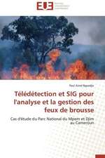 Teledetection Et Sig Pour L'Analyse Et La Gestion Des Feux de Brousse: Quels Soins Et Quel Devenir