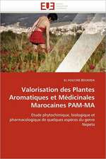 Valorisation Des Plantes Aromatiques Et Medicinales Marocaines Pam-Ma: Operation de Seduction Aupres Des Jeunes