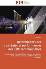 Determinants Des Strategies Et Performances Des Pme Camerounaises: L'Application A L'e-Commerce Sportif