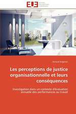 Les Perceptions de Justice Organisationnelle Et Leurs Consequences: Le Georadar Eiss