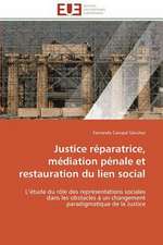 Justice Reparatrice, Mediation Penale Et Restauration Du Lien Social: Role Des Feedbacks Visuels