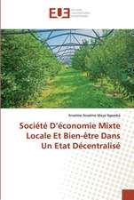 Société D¿économie Mixte Locale Et Bien-être Dans Un Etat Décentralisé