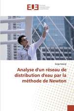 Analyse d'un réseau de distribution d'eau par la méthode de Newton