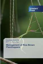 Management of Rice Brown Planthoppers