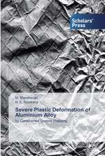 Severe Plastic Deformation of Aluminium Alloy