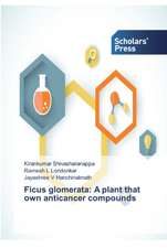 Ficus glomerata: A plant that own anticancer compounds