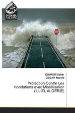 Protection Contre Les Inondations avec Modélisation (ILLIZI, ALGERIE)