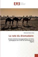 La rate du dromadaire