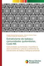 Extrativismo do babaçu: comunidades quilombolas, Codó-MA