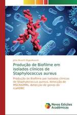 Produção de Biofilme em isolados clínicos de Staphylococcus aureus