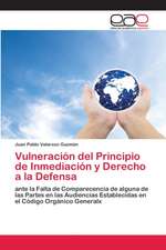 Vulneración del Principio de Inmediación y Derecho a la Defensa