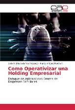 Como Operativizar una Holding Empresarial