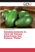 Establecimiento in vitro de Persea Americana Var. Zutano 