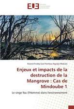 Enjeux et impacts de la destruction de la Mangrove : Cas de Mindoube 1