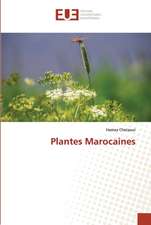 Plantes Marocaines