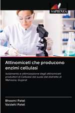 Attinomiceti che producono enzimi cellulasi