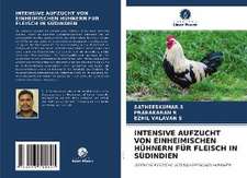 Intensive Aufzucht Von Einheimischen Hühnern Für Fleisch in Südindien