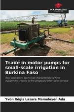 Trade in motor pumps for small-scale irrigation in Burkina Faso