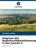 Diagnose des Bodenfruchtbarkeitsmanagements in Bas Coursin II