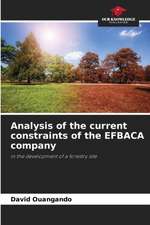 Analysis of the current constraints of the EFBACA company