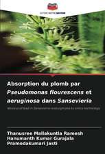 Absorption du plomb par Pseudomonas flourescens et aeruginosa dans Sansevieria