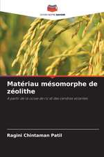 Matériau mésomorphe de zéolithe