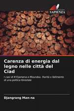 Carenza di energia dal legno nelle città del Ciad