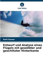 Entwurf und Analyse eines Flügels mit gewölbter und geschlitzter Hinterkante