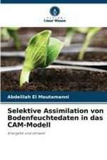 Selektive Assimilation von Bodenfeuchtedaten in das CAM-Modell