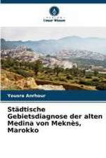 Städtische Gebietsdiagnose der alten Medina von Meknès, Marokko