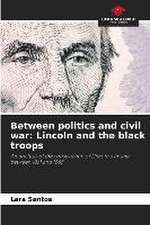 Between politics and civil war: Lincoln and the black troops