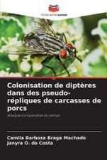 Colonisation de diptères dans des pseudo-répliques de carcasses de porcs