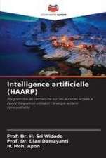 Intelligence artificielle (HAARP)