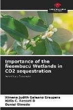 Importance of the Ñeembucú Wetlands in CO2 sequestration