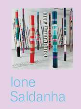 Ione Saldanha: The Invented City