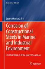 Corrosion of Constructional Steels in Marine and Industrial Environment: Frontier Work in Atmospheric Corrosion