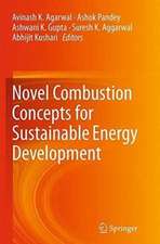 Novel Combustion Concepts for Sustainable Energy Development