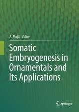 Somatic Embryogenesis in Ornamentals and Its Applications