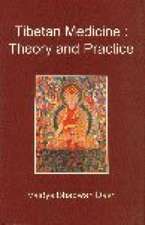 Tibetan Medicine: Theory and Practice