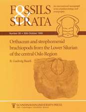 Orthacean and Strophomenid Brachiopods from the Lower Silurian of the Central Oslo Region