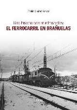 Una historia con muchas vidas : el ferrocarril en Brañuelas