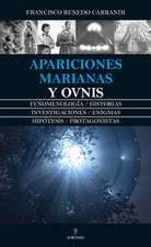 Apariciones Marianas Y Ovnis