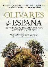 OLIVARES DE ESPAÑA: RECORRIDO POR LA BIOGRAFIA DEL OLIVAR