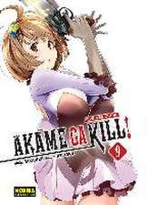 Akame Ga Kill! Zero 9