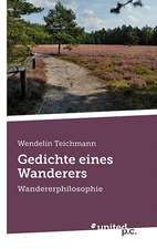 Gedichte Eines Wanderers: Antologia de Narrativa En Espanol En Estados Unidos