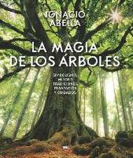 La magia de los árboles