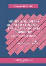 Principios impositivos de justicia y eficiencia : fundamentos, conflicto y proyección : un enfoque transdiciplinar