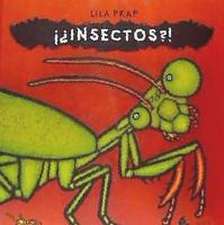 INSECTOS