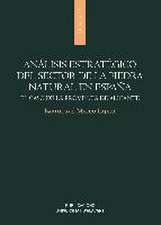 Análisis estratégico del sector de la piedra natural en España : el caso de la provincia de Alicante