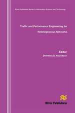 Traffic and Performance Engineering for Heterogeneous Networks